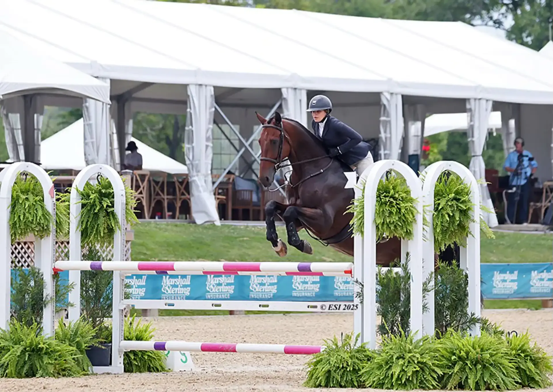 Rider jumping decorated obstacle at Marshall Sterling event