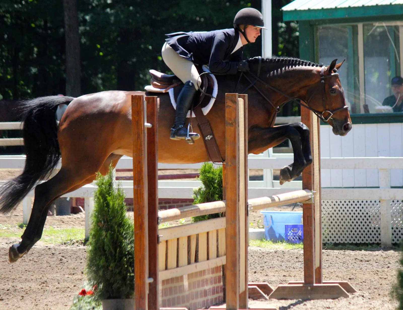 Rider in navy coat jumping a bay horse over a hunter fence at the farm